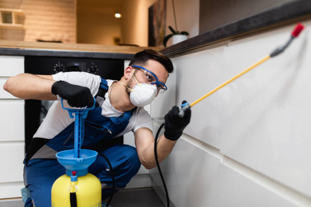 Best Flea Control Services  in Meyers, CA