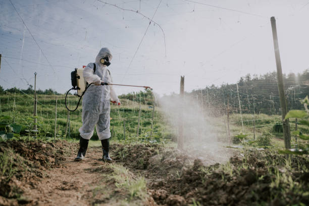 Pest Control Cost in Meyers, CA