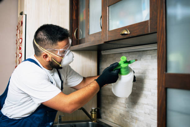 Best Termite Control Services  in Meyers, CA