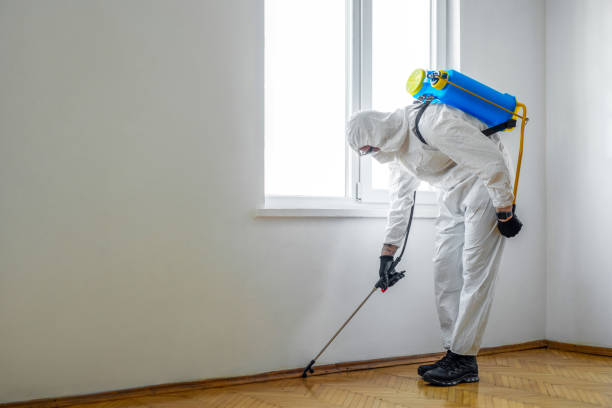 Flea Control Services in Meyers, CA