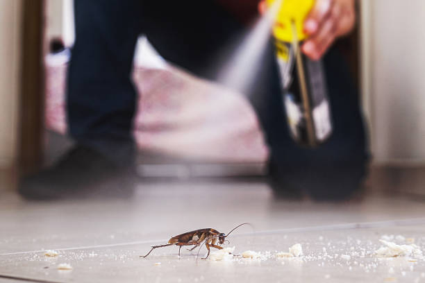 Best Ant Control Services  in Meyers, CA