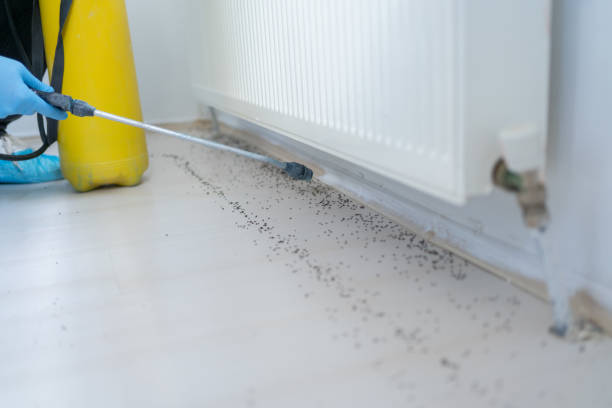 Best Pest Removal Services  in Meyers, CA